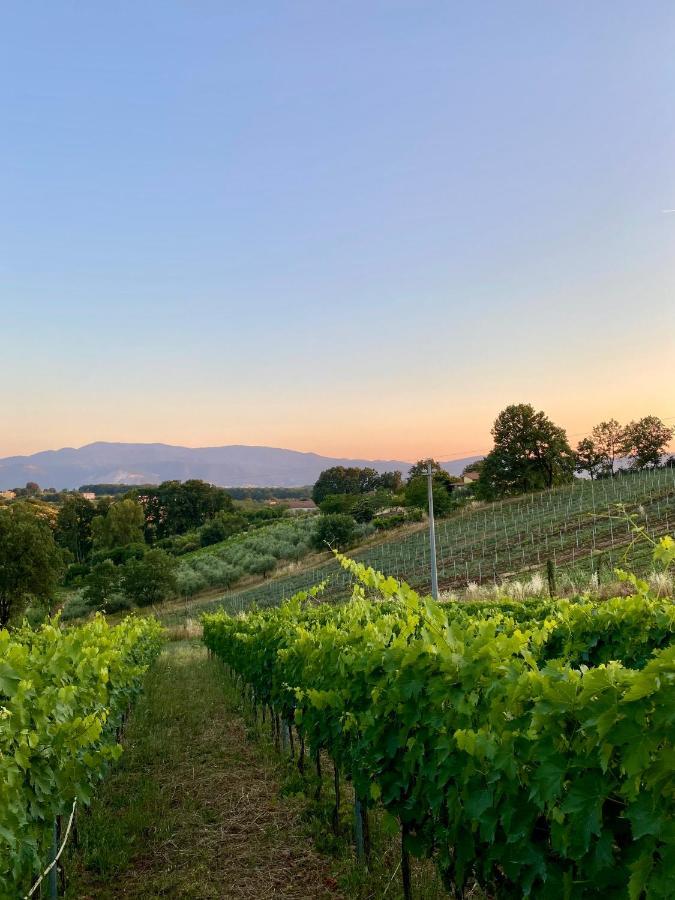 Апарт отель Donna Vittori - Borgo Agricolo Paliano Экстерьер фото