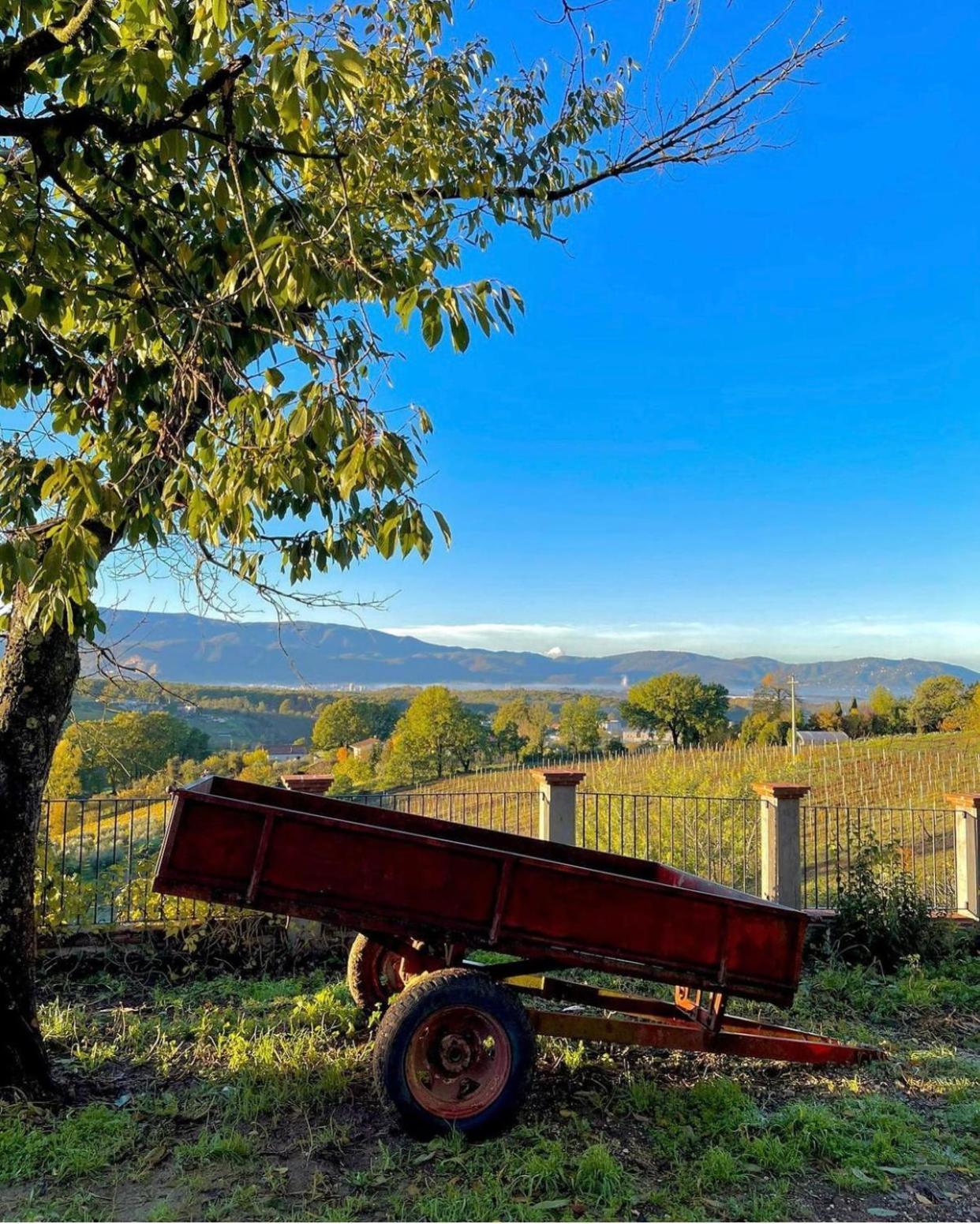 Апарт отель Donna Vittori - Borgo Agricolo Paliano Экстерьер фото